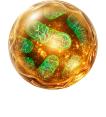 iP-Solution PY