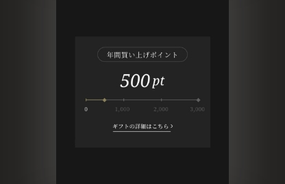 いままで獲得したポイントと1年間のお買い上げによって獲得したポイントを確認することができます。