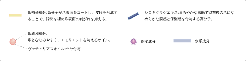 爪補修成分: 高分子が爪表面をコートし、皮膜を形成することで、隙間を埋め爪表面の剥がれを抑える。 爪親和成分:爪となじみやすく、エモリエントを与えるオイル。ヴァチュリアスオイル: ツヤ付与 シロキクラゲエキス: まろやかな感触で塗布後の爪になめらかな膜感と保湿感を付与する高分子。 保湿成分 水系成分