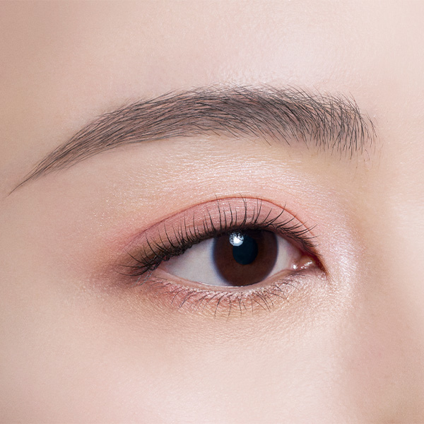 スキンシャドウ デザイニング パレット