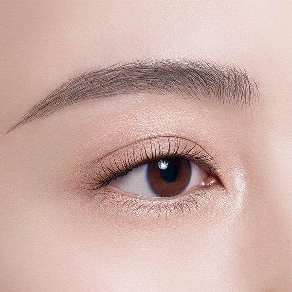 スキンシャドウ デザイニング パレット