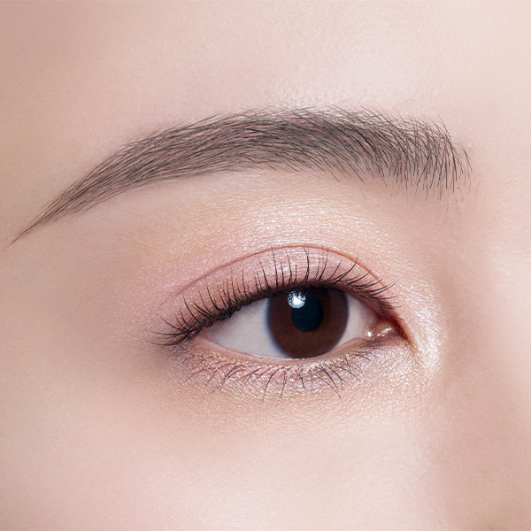 スキンシャドウ デザイニング パレット